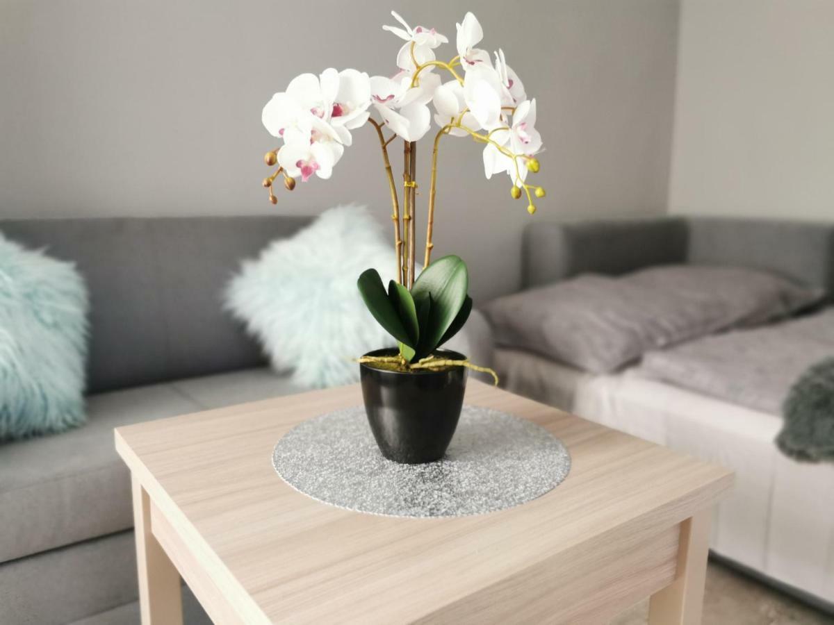 Apartament Gorska 8 - Blisko Centrum Świeradów-Zdrój Exteriér fotografie